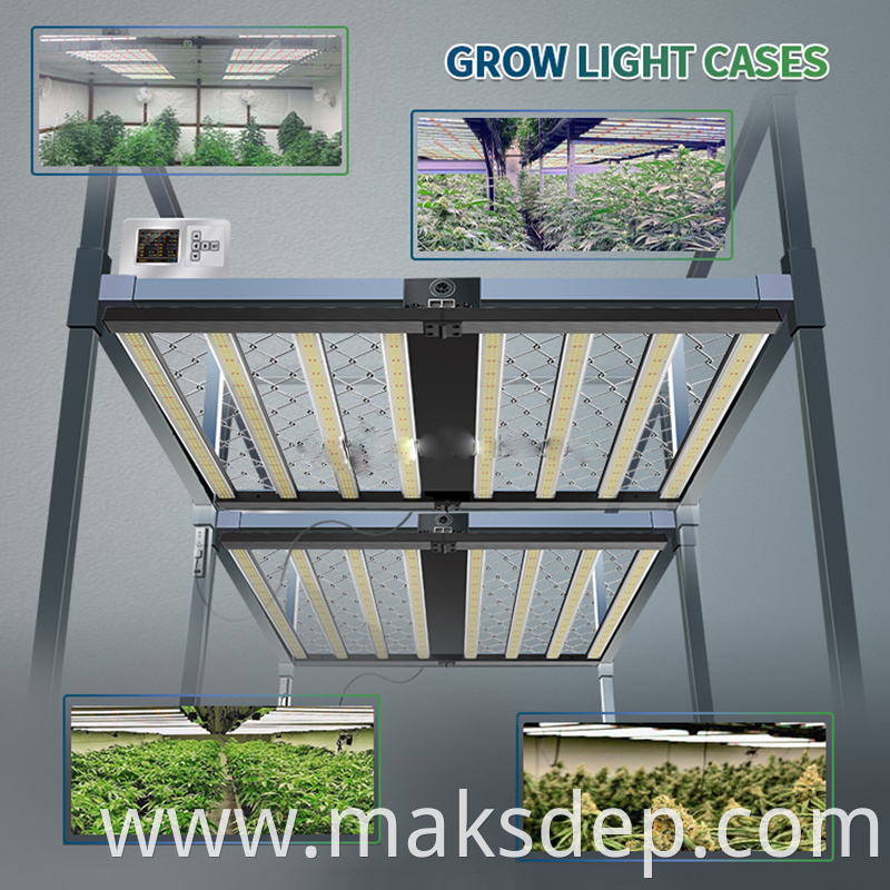 Plasma Grow Light